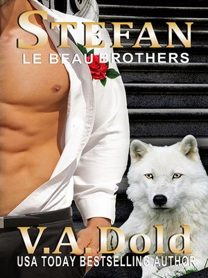 cover image of STEFAN
